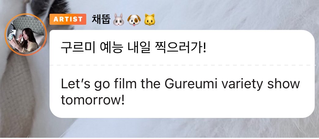 chenecstasy's tweet photo. Soobin revealed on 🐰🫧 bubble that tomorrow they will film #LoveInTheMoonlight variety show! It’s happening yall!!

Cant wait to see their reunion 🥺
#ChaeSoobin #KimYooJung #ParkBogum #JINYOUNG #KwakDongyeon https://t.co/5A6AXlEsve