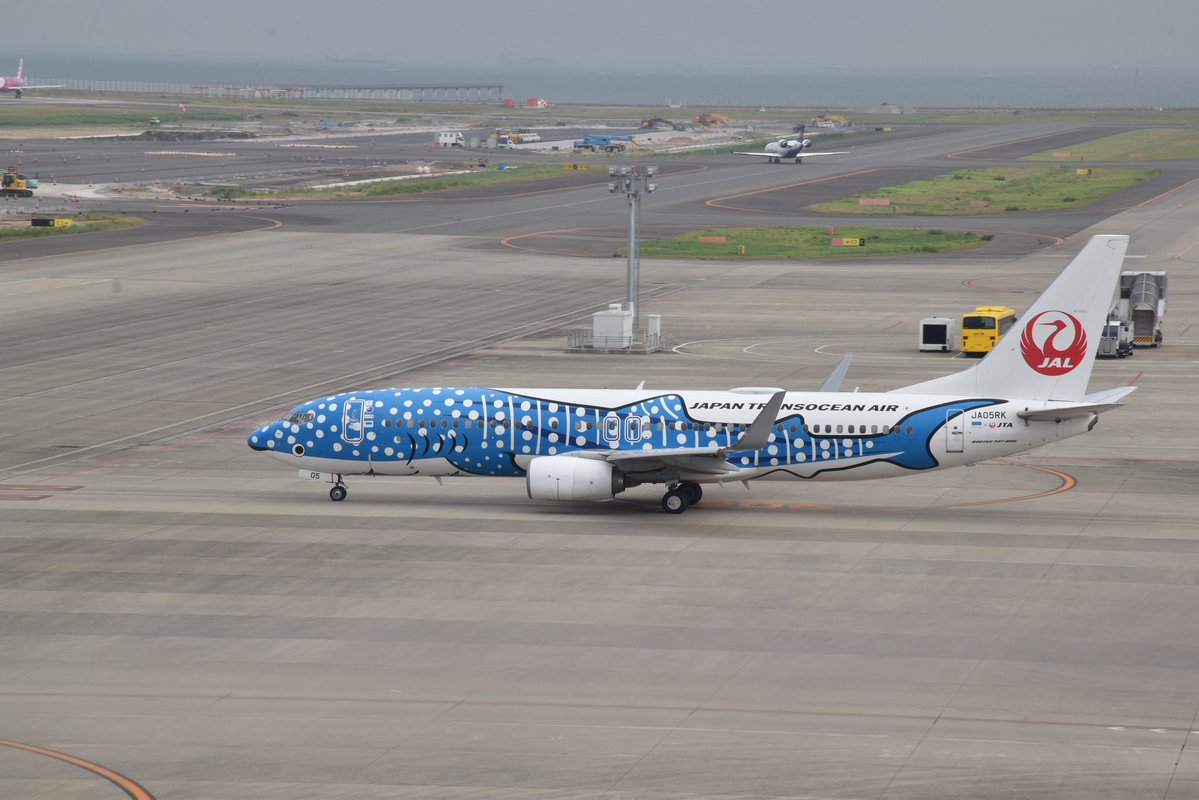 6627nena's tweet photo. 2026/8/3   中部国際空港
飛行機いろいろ
1枚目国内線ターミナル
2枚目日本トランスオーシャン航空43便 那覇空港行き B737-8Q3 JA05RK ジンベイジェット
3枚目タイ航空644便 中部国際空港行きA350-941 HS-THO
4枚目JAL3082便 成田国際空港行き B737-846 JA305J
 #中部国際空港 
 #日本航空 
 #ANA https://t.co/jJgGuELq7q