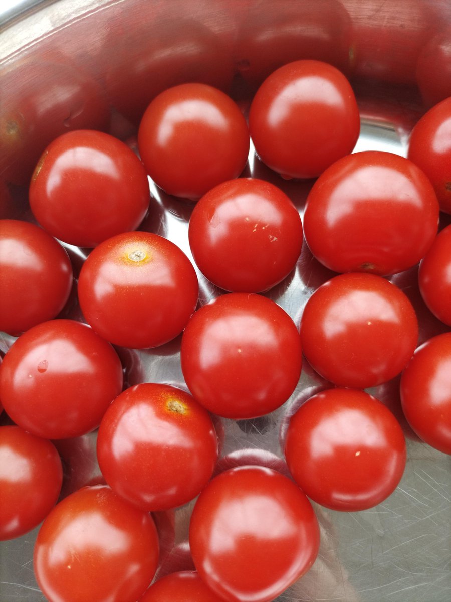 pederson88005's tweet photo. Fresh organic spinach u0026 cherry tomatoes restocked! Perfect for your salad or pasta tonight—grab yours before they’re gone! https://t.co/HBb6xPA2NX