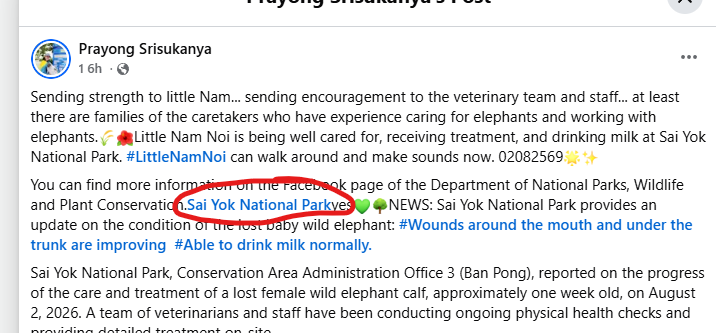 de__gods's tweet photo. in the post they mention this is the place that saved the elephant if you go to their account they posted about the baby elephant a few hours ago updating the story

LINK HERE
https://t.co/yROZKjbv0i

and they call him Sidor Thongmuan https://t.co/YzOQ2aOtWn