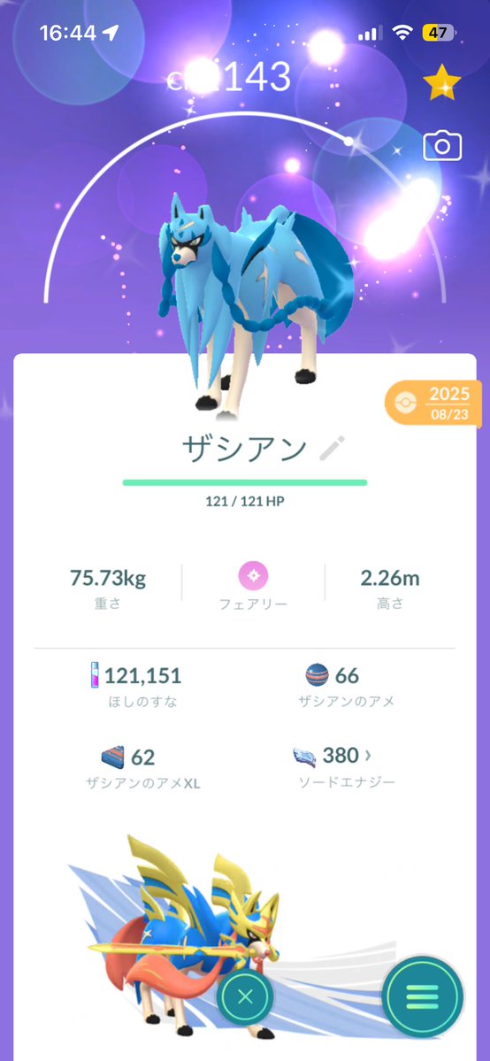 Sanay8co's tweet photo. ザシアン色同士or他伝説色or通常ザシアン
交換募集します。
通常ザシアンは剣王フォルムor変更可能のみお願いします
リプ待ってます
#ポケモンGO 
#ポケモンGO交換 
#ポケモンGO交換募集 https://t.co/0rcvxq924M