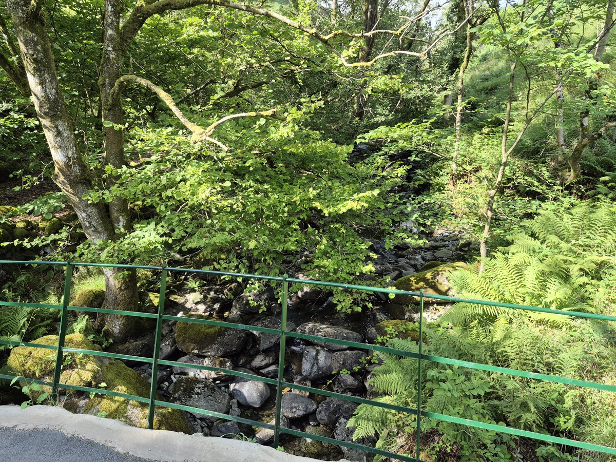 PhilSipocz's tweet photo. The delightful Water Yeat Bridge over the River Lickle. #AllMetalMonday #LakeDistrict #Lakes https://t.co/bNyQFS2MR3