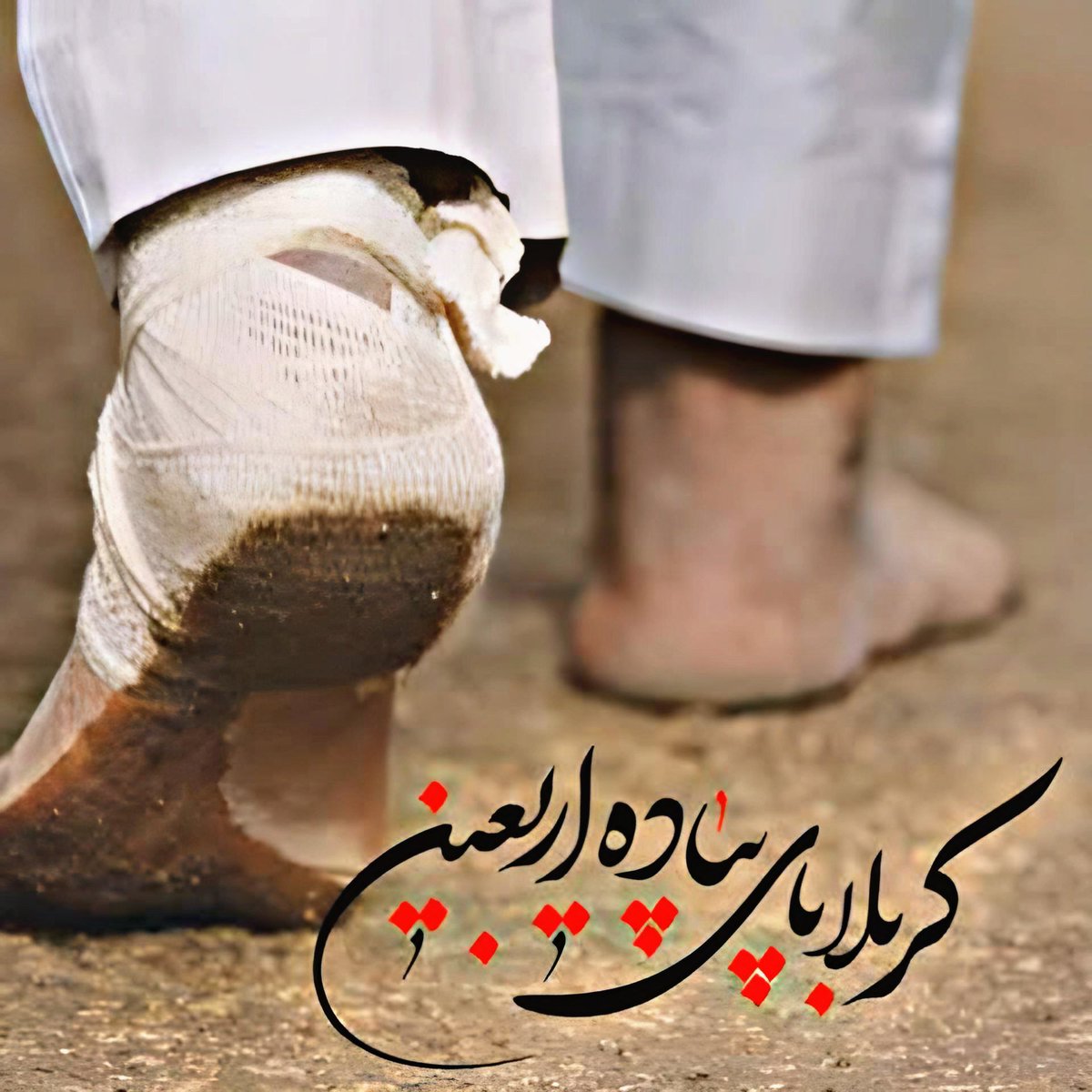 rasool_nmv's tweet photo. سيد عبدالحسين، كليددار حضرت سيدالشهدا ع پدر كليددارفعلى حرم نقل می‌کردند:

شبى در حرم مطهر می‌بيند عربى پابرهنه و خون آلود، پاى خونين و كثيف خود را به ضريح زده وعرض حال می‌كند.

آن مرحوم او را نهيب می‌دهد و وقتی با بی‌توجهی آن عرب مواجه میشود بالاخره امر می‌كند كه او را از حرم .. https://t.co/0HY5M0y3S9