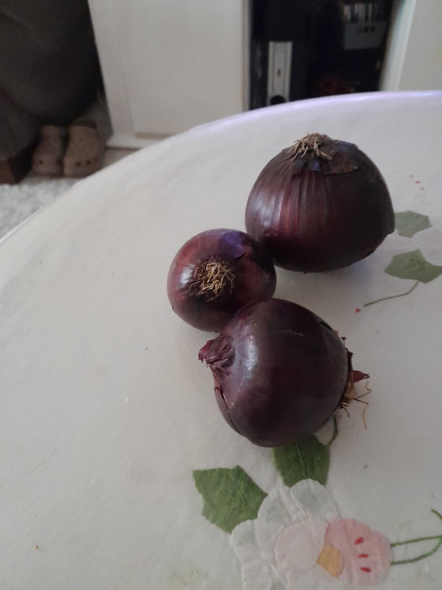 glmsryrdnr's tweet photo. @halktvcomtr @EbruBaki @AfsinHatipoglu @eonurcanakci SAYIN BAKİ
CUMARTESİ PAZARA ÇIKTIM.

KIRMIZI KURU SOĞAN CANIM ÇEKTİ!
120 TL 
(1 büyül 4 küçük 😮😮😮) https://t.co/0YYCP1S7BS