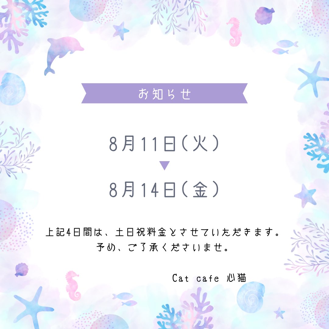 cocone0510's tweet photo. 8月のお知らせとなります📣
添付画像の確認をよろしくお願い致します。

 #Catcafe心猫 https://t.co/rZrWXYa0bR