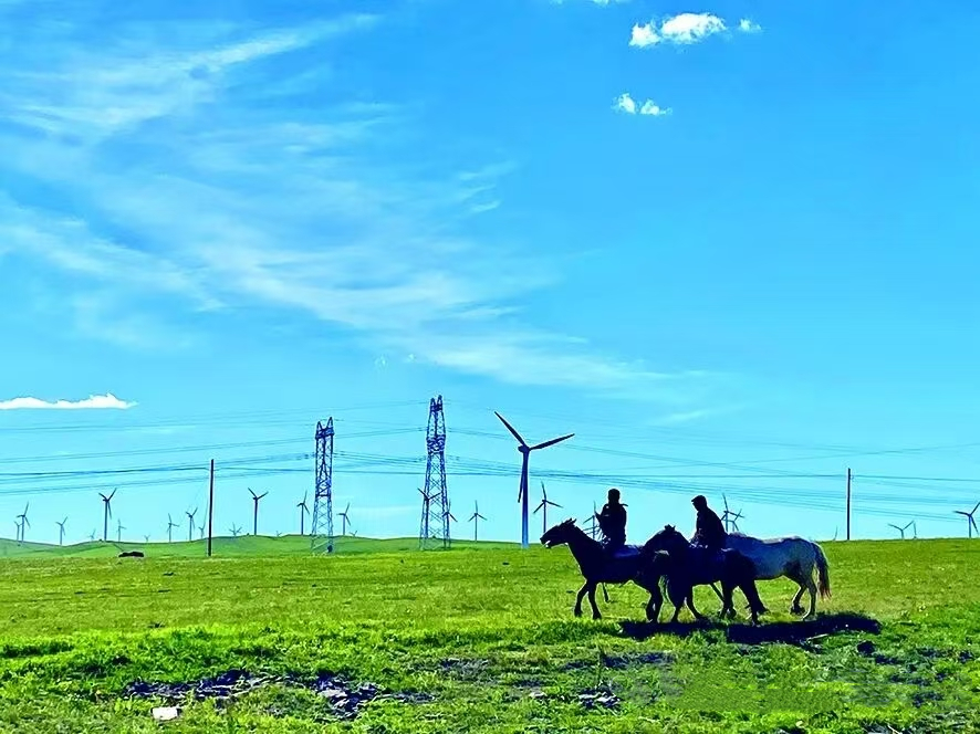 Ulaanqab's tweet photo. Escape to Huitengxile Grassland this summer. 👉Nature's perfect remedy awaits. https://t.co/7yBNfHglhB