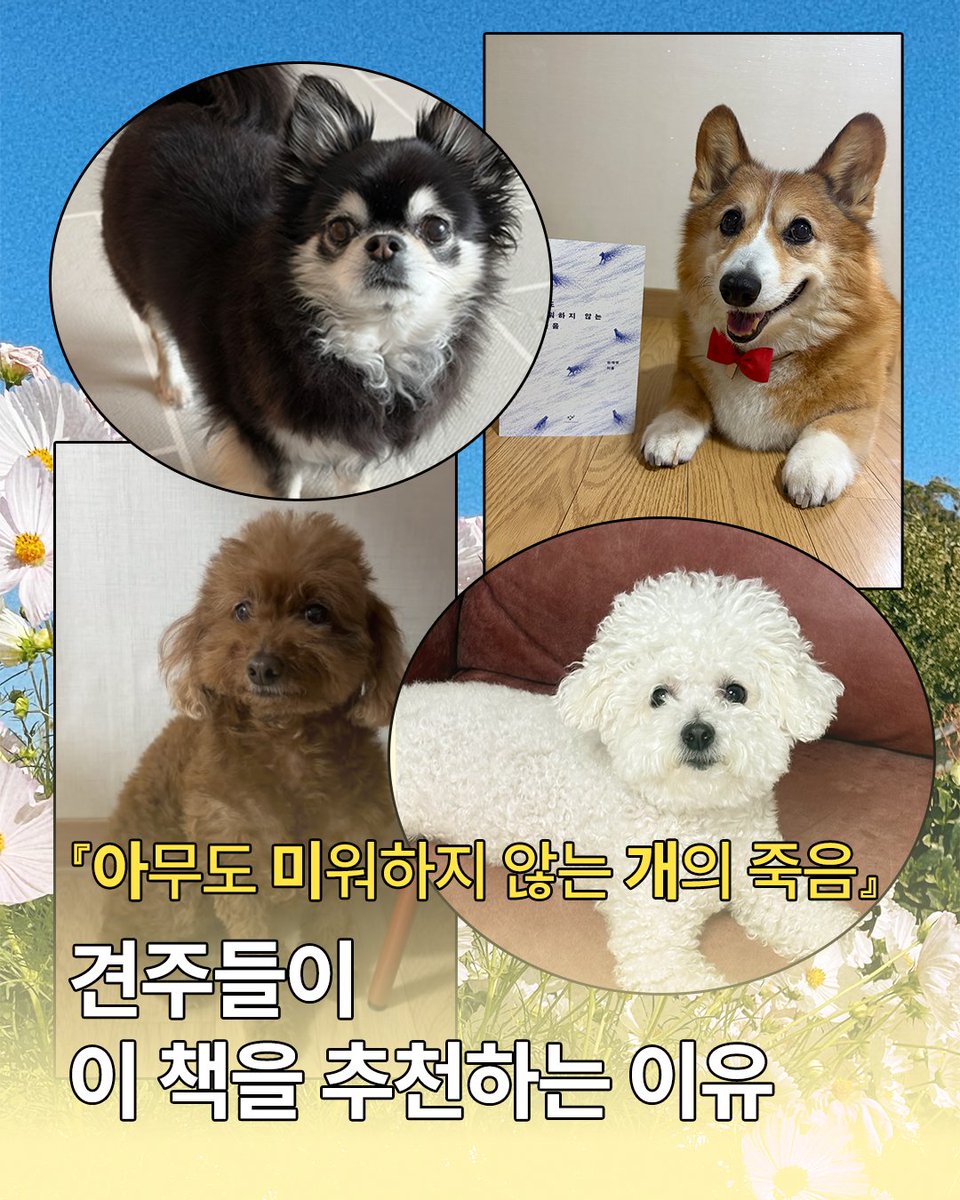 changbi_books's tweet photo. 창비 출판사에는 반려동물과 함께하는 사람들이 정말 많습니다. 
『아무도 미워하지 않는 개의 죽음』(개정판)의 담당 편집자와 마케터도 그러한데요. 

초판이 출간되었을 때부터 개정판이 나온 지금까지,
“정말 좋은 책”이라는 독자들의 이야기가 꾸준히 이어지고 있습니다.

그 진심이 더 많은 분께 닿기를 바라며,
반려인들이 직접 읽고 남긴 리뷰를 모아 소개합니다.