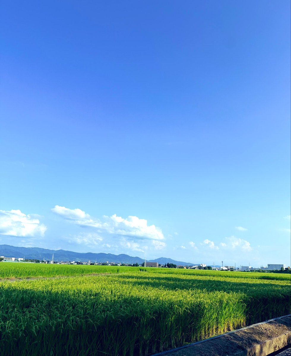 kanatan0126's tweet photo. 新潟の夏ですな〜……

あづいな〜……エアコンの原因かな？と思ったリレーじゃ無かった件……😭😭😭 https://t.co/vN3m8nC3fG