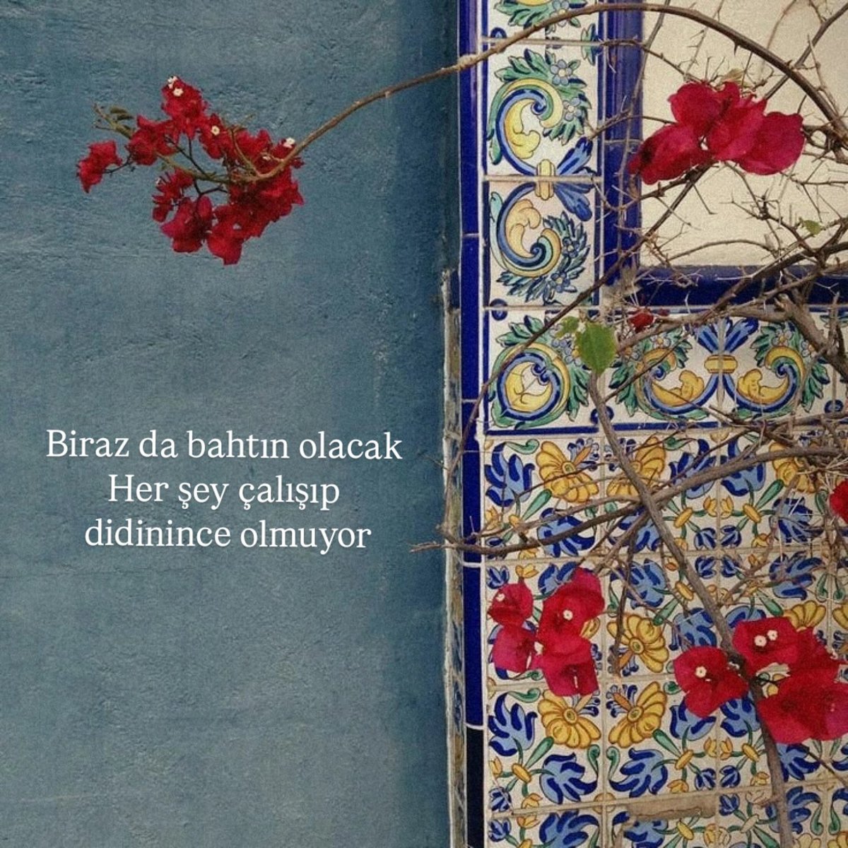 _Nekre's tweet photo. https://t.co/f6ED7bfw4b