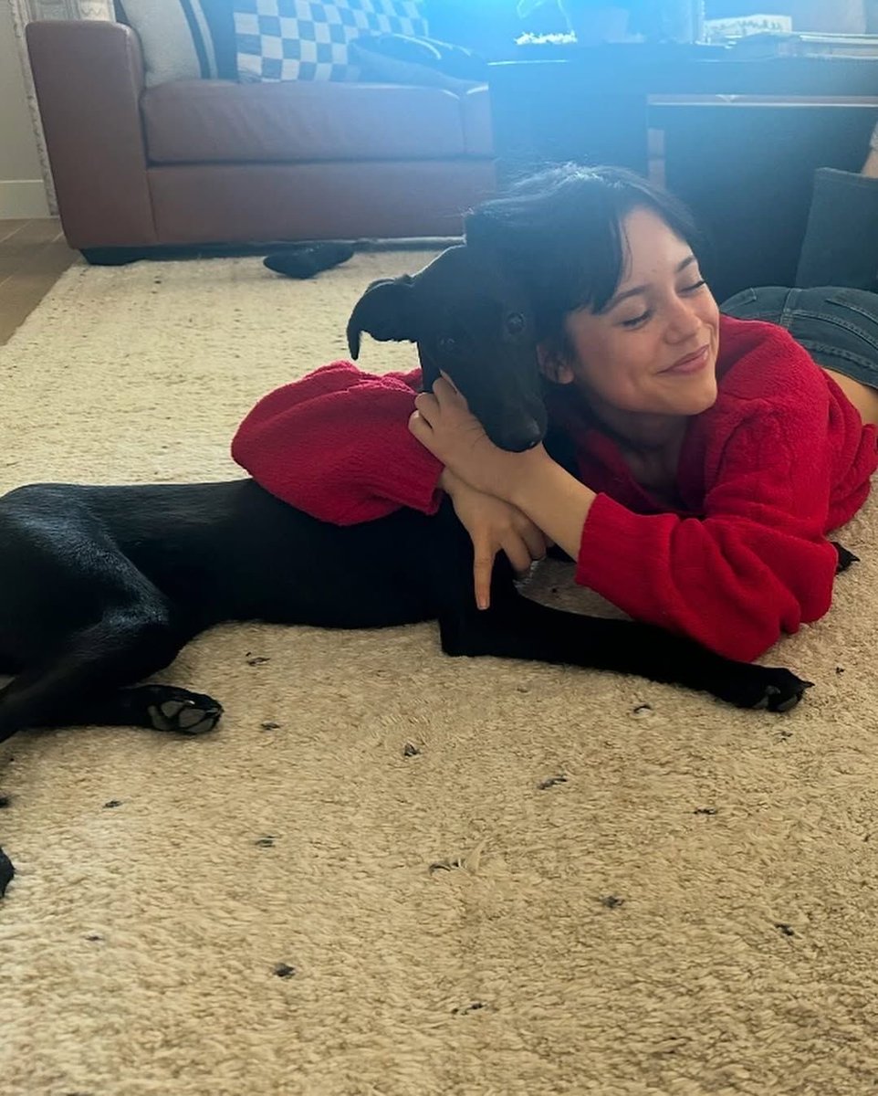 Jennaorteg36's tweet photo. Miss this little face 🖤 https://t.co/d4XrQ4wjQO