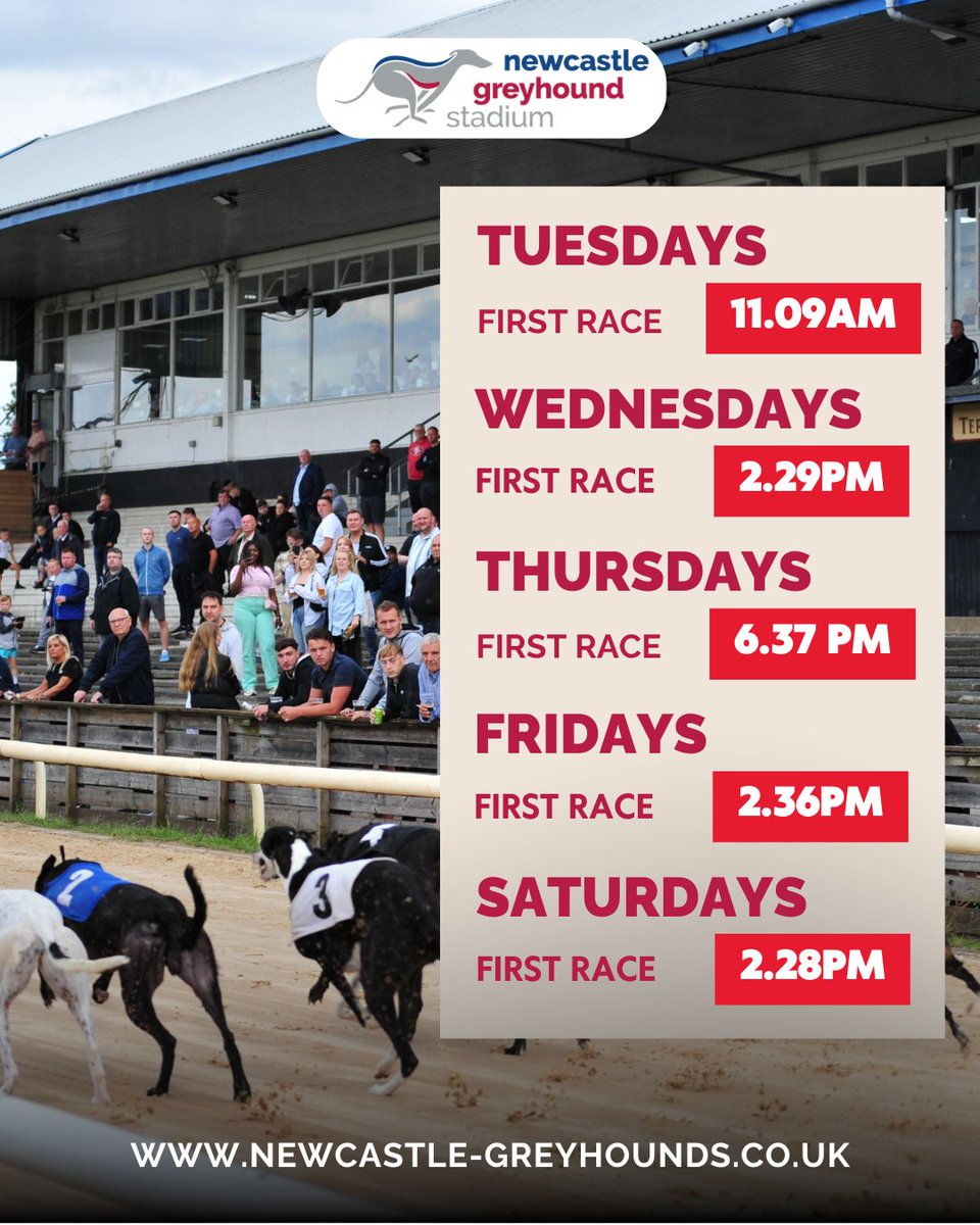 Newcastle Greyhound Stadium tweet media