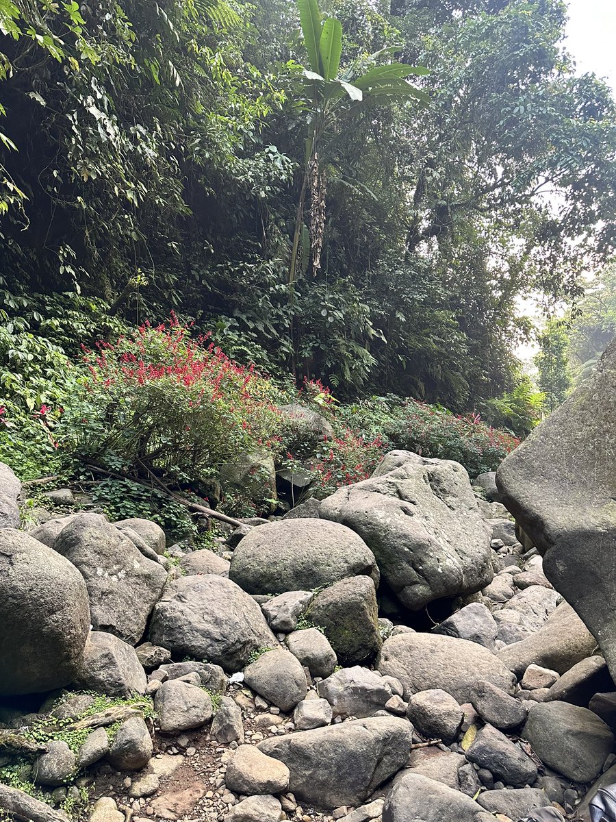beforeobby's tweet photo. Kemarin main ke curug ciampea bogor, cakep banget sih cuma cape karena trekking nya lumayan beratt 😓😅 https://t.co/YZRmDQ4Mfh