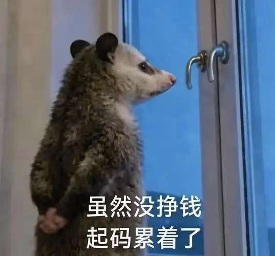 Gmr04d's tweet photo. 生活belike https://t.co/0kwVCloQhK