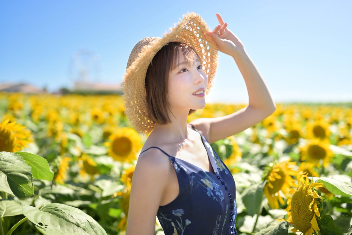 nagumo_rui_'s tweet photo. ひまわり🌻 https://t.co/jqCMdoilCd