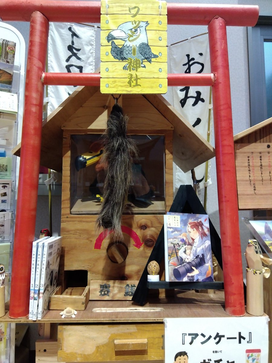 Raptors_C_C's tweet photo. 遅くなって申し訳ありません。当館掲載回となった「しあわせ鳥見んぐ」発売したばかりの第4巻を奉納させていただきま��た。ありがとうございます!#イヌワシみらい館
#猛禽類保護センター
#しあわせ鳥見んぐやまがた旅 https://t.co/HU9F0vITiE