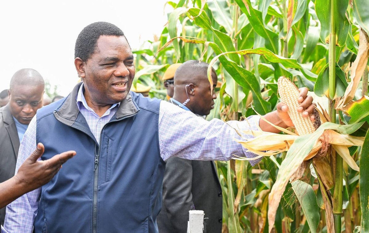 HHichilema's tweet photo. Today, we honour the men and women whose dedication, resilience &amp; hard work feeds our nation. Your commitment nourishes our people, creates jobs, drives economic growth and strengthens our communities. To every farmer, thank you for your unwavering dedication. Happy Farmers' Day https://t.co/rw62hM3DXN