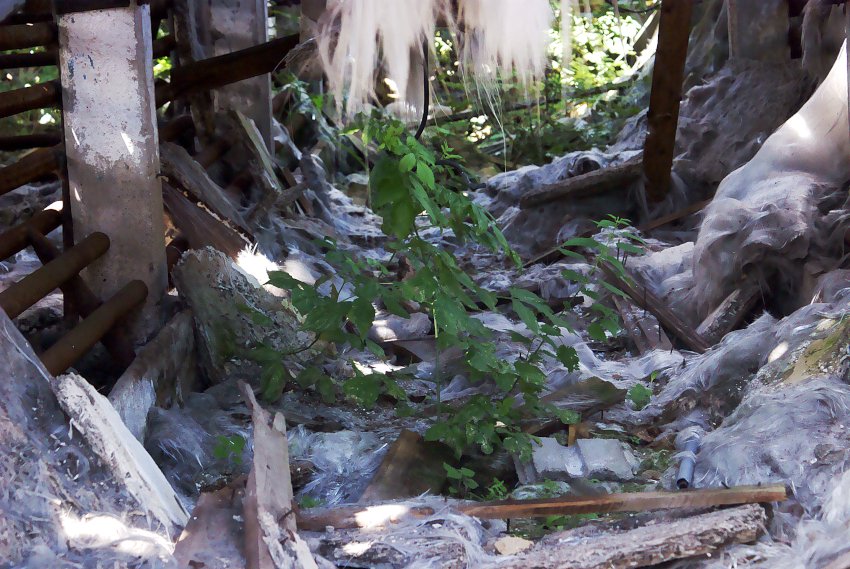 KempeXB1's tweet photo. #space #plants #garbage #structures #lostplaces #ruins https://t.co/FXe0kVSVcC