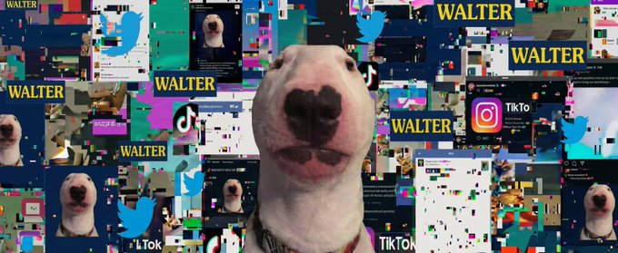 walterdogfun's tweet photo. CONTENT MATTER, we don't give a fuck about nothing.

JUST HIGHER. https://t.co/UfIpjsgB4s