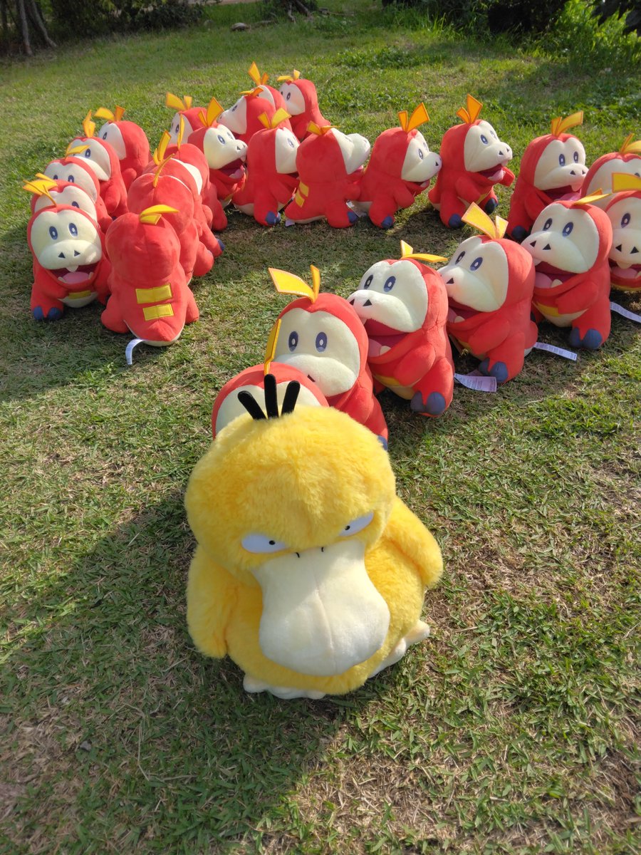 lpzf8T0U7ZWtQEL's tweet photo. コダックのご機嫌が悪いです
見かけても近づかないでください！ https://t.co/mDs1w5Zm1A