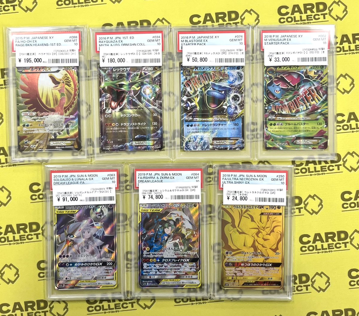 ✩˖°⌖.꙳✩˖°⌖.꙳✩˖°⌖.꙳✩˖°⌖.꙳✩ ✨カードコレクト✨ 🍀PSA10