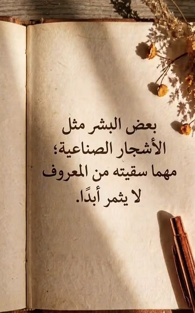 9lbbb's tweet photo. راقت لي🪴... https://t.co/SJjumiV923