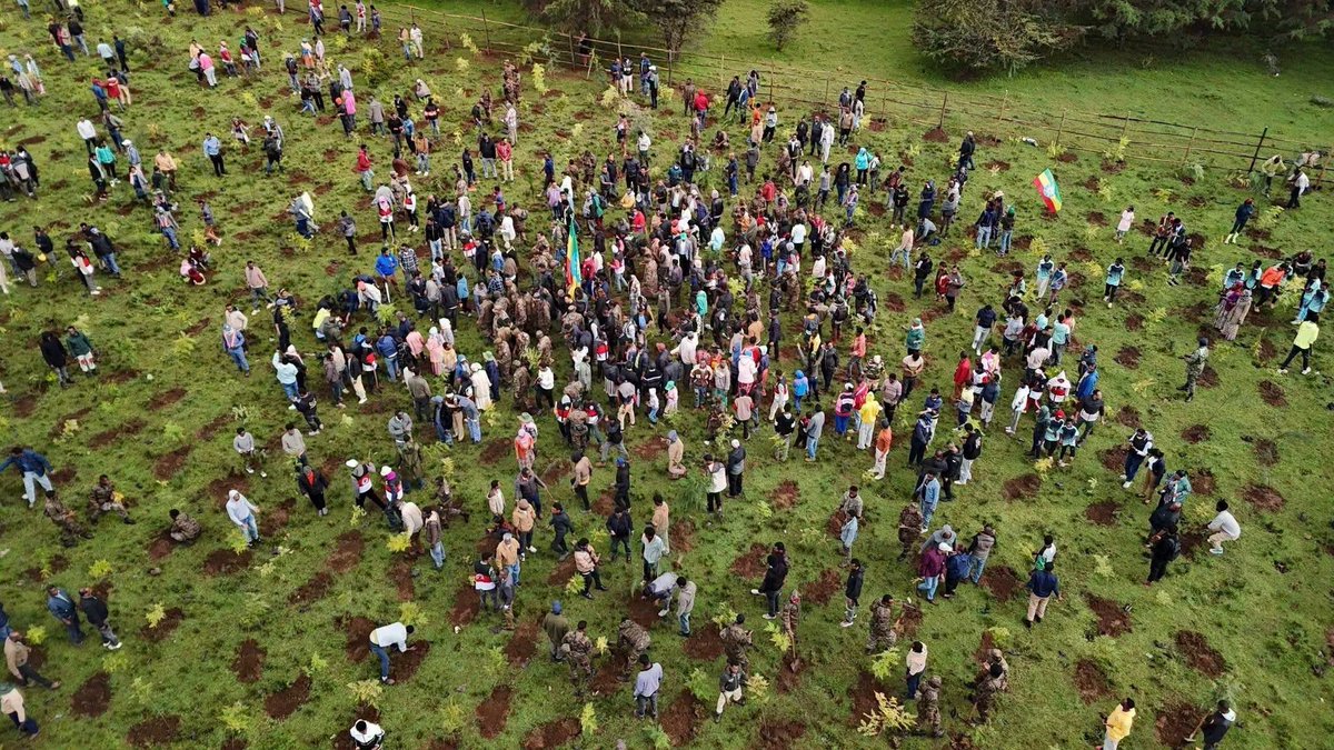 GazettePlusET's tweet photo. #Oromia Regional Chief Administrator Shimelis Abdisa announced a substantial increase in the region’s forest cover, rising from 17% to 29% since the #GreenLegacyInitiative (GLI) began. https://t.co/o6uDmhzEvJ
