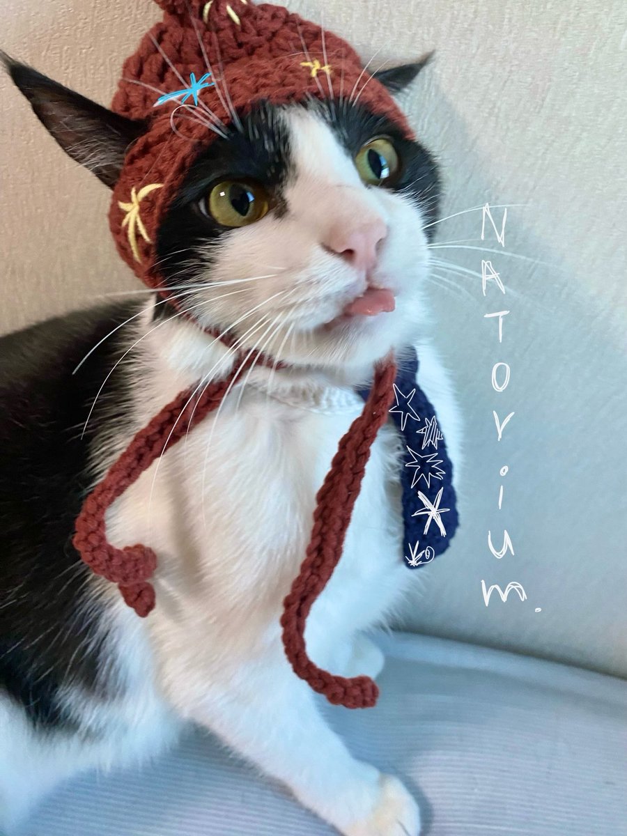 g3oz3i's tweet photo. #natori_art
#natorium_style

심해 비니랑 넥타이를 고양이에게 입혀보았습니다 
너무 귀엽죠…..^///^  
비니 자수 디테일도 꼭 봐주세요 🩷 https://t.co/4W3A9lOAhe