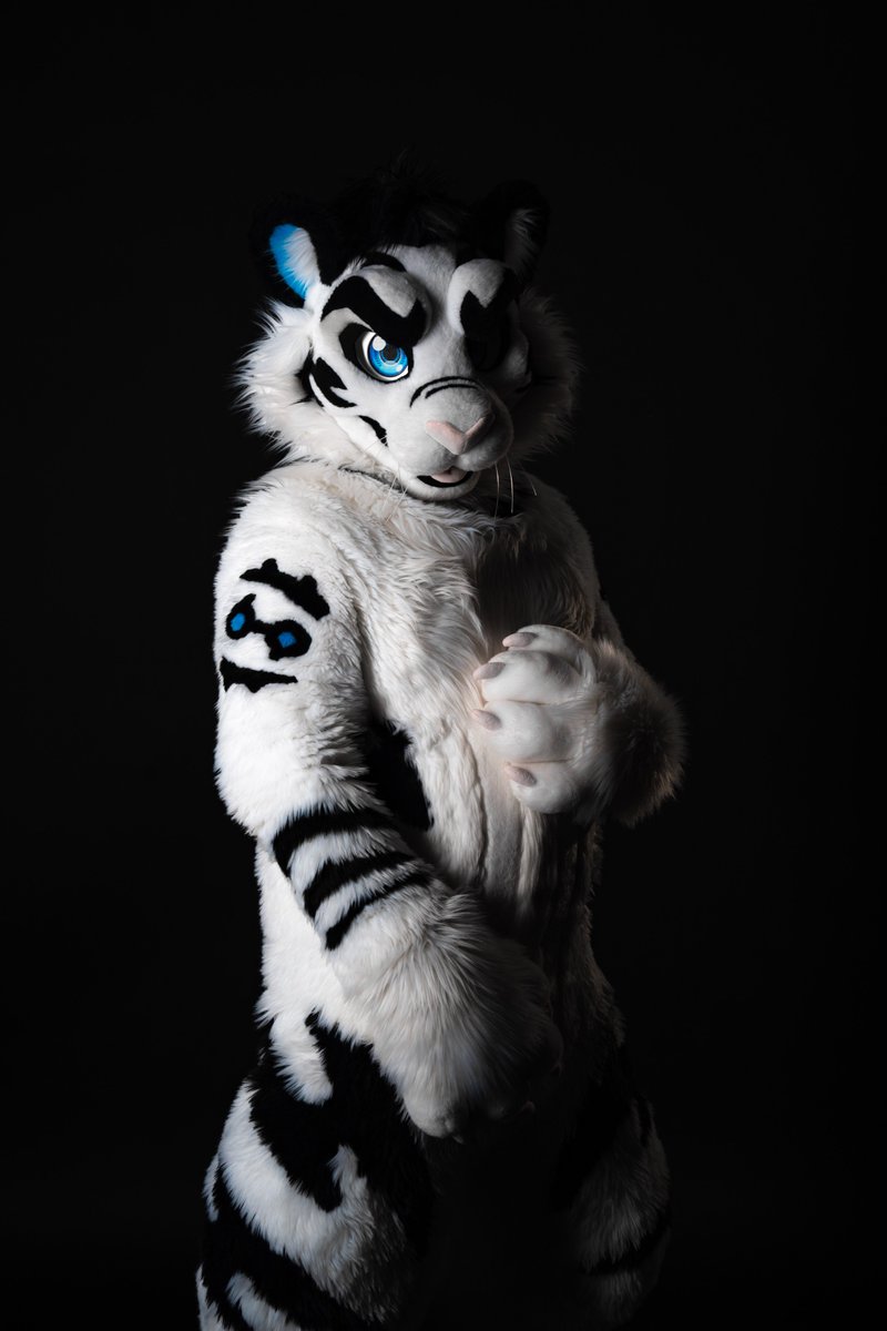 Arthsekiren's tweet photo. この子、本当に大好き。🥹✨

かっこよすぎる…！
一生撮り続けたい（？）📸

🐯: @WhiteTigerTW 

#FursuitEveryday 
#fursuitphotographer https://t.co/lK4EBcgN8D