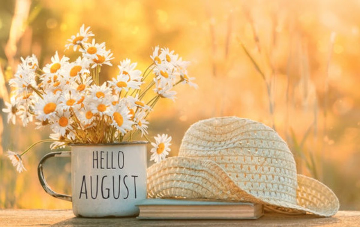digi_kick's tweet photo. Happy Monday! A new week means new opportunities to learn, grow, and build confidence!
Remember, every expert was once a beginner. The most important step is getting started.
💙 This week, challenge yourself to try one new thing online.
#MondayMotivation #DigitalConfidence https://t.co/RdxVb8S1IT