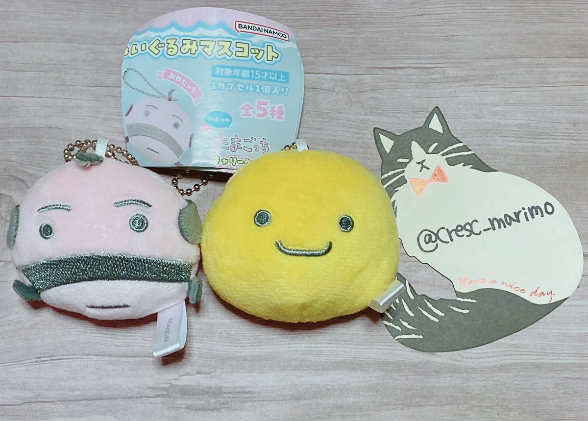 cresc_marimo's tweet photo. 【交換】たまごっち ぬいぐるみマスコット キャリーケースコレクション
譲 ぬいぐるみマスコット おやじっち まるっち
求 ぬいぐるみマスコット みみっち
キャリーケースコレクション(1点に対してマスコット2個ともお送りします)
郵送希望、切手使用可です。
よろしくお願い致します。 https://t.co/MifAZohsBy