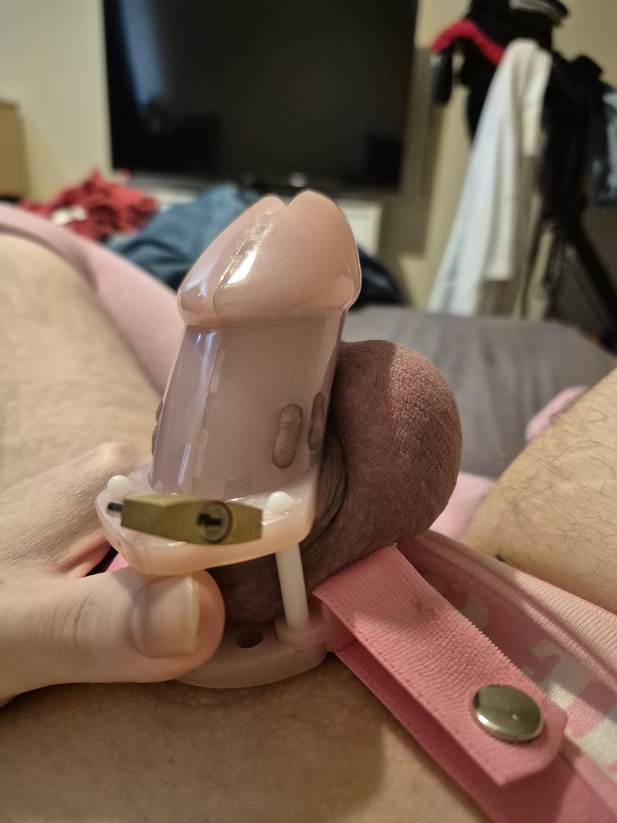 SissyAliceNotts's tweet photo. Bursting in my chastity cage, can anyone help out? Dm me!
#wankchat #chastity #sissy #sissyfaggot #cumwhore #sph #bnwo https://t.co/UBGqYbITfb