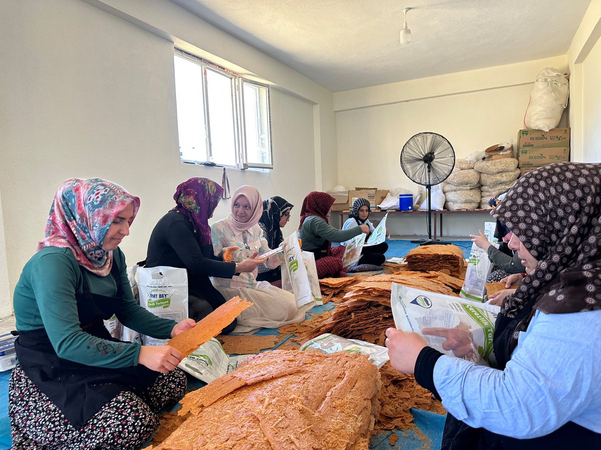 ZehraNurAydemr's tweet photo. Kahramanmaraş'ın meşhur tarhana cipslerini üreten fabrikayı ziyaret ettik.

Bu lezzeti dünya sofralarına taşıyan, emekleriyle üretime değer katan hanımlarla sohbet ettik. Ellerine, emeklerine sağlık 🌸 https://t.co/NX900DUMWG