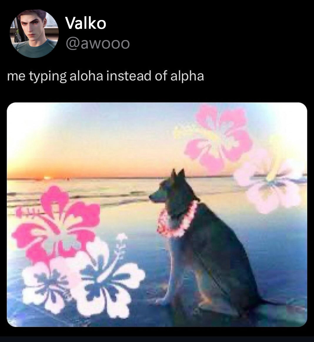 kazscomplaining's tweet photo. #ValkoIsLoved #ValkoIsValuable #BringValkoBack #BringBackValko https://t.co/bxo2nnDCXQ