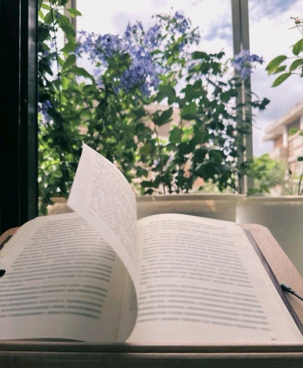 Boise178's tweet photo. Kitap okuyun;
read a book;
读一本书;
διάβασε ένα βιβλίο; https://t.co/pZXlkaFbjB