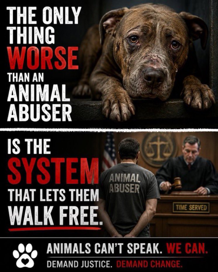 Protect_Wldlife's tweet photo. Do you agree? https://t.co/xIxrH9sEBn