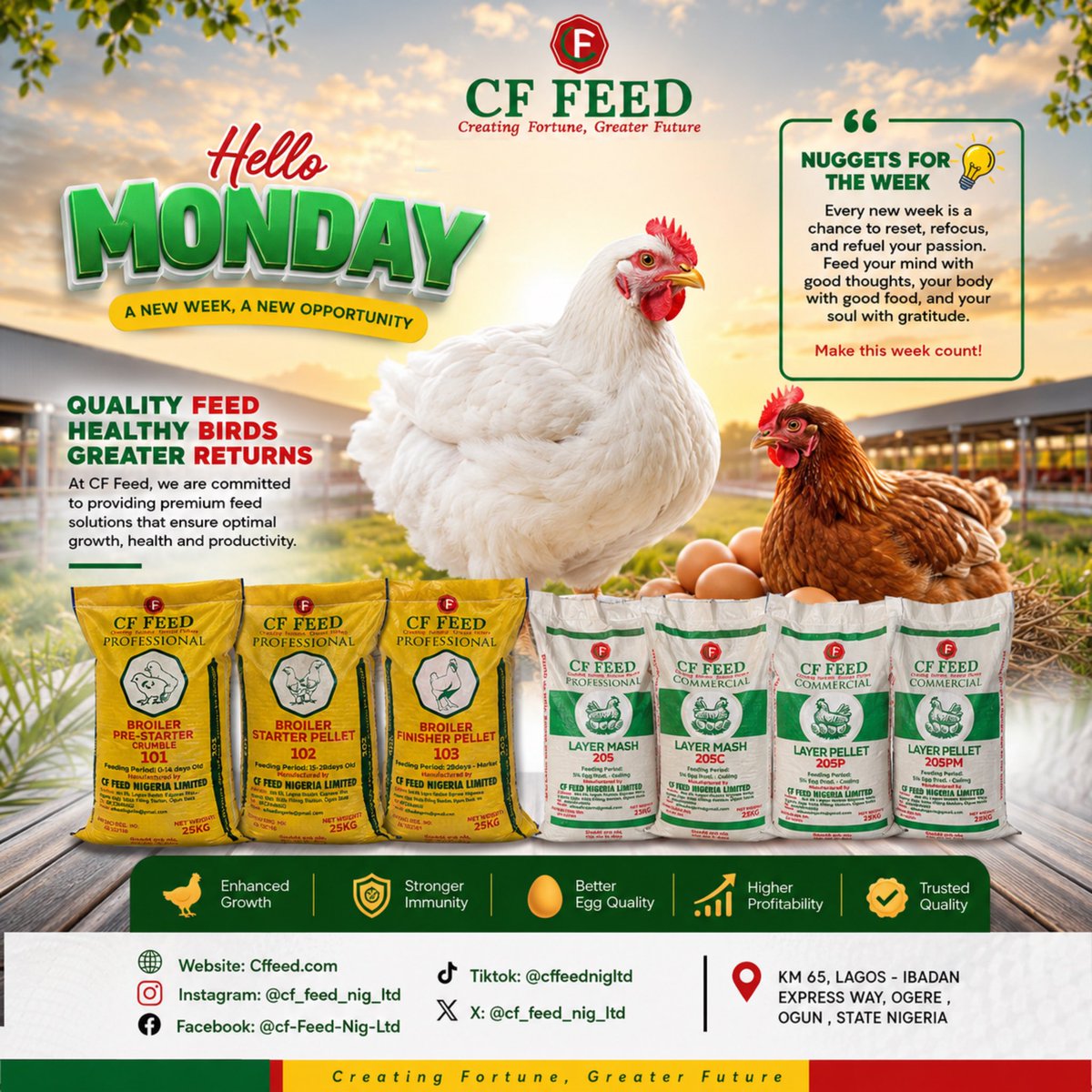 Cf_feed_nig_ltd's tweet photo. Hello Monday  #poultry #Poultrybusiness #poultryfarming #farmers https://t.co/fBPJjwlKZM