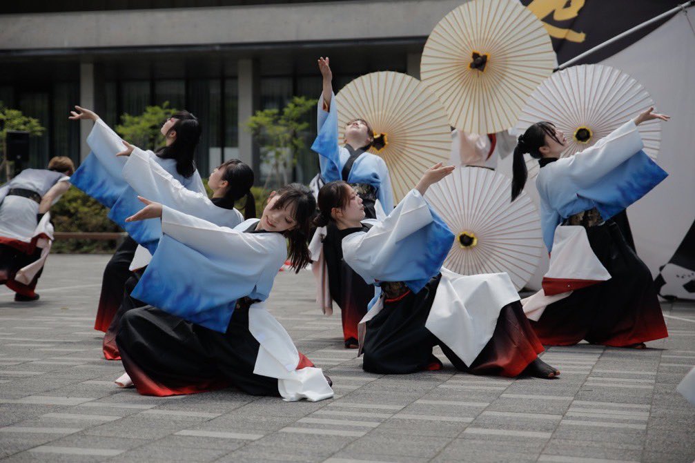 ysts_kabuki's tweet photo. 【燈翔紹介⑦】

今回はCbです！

お写真は以下のよさカメ様からいただきました！
@HidamariyaK さん
@hiro_jure さん
@s_phtgrphy さん

#よさとせ歌舞輝
#燈翔 https://t.co/lHi2yTrhcx