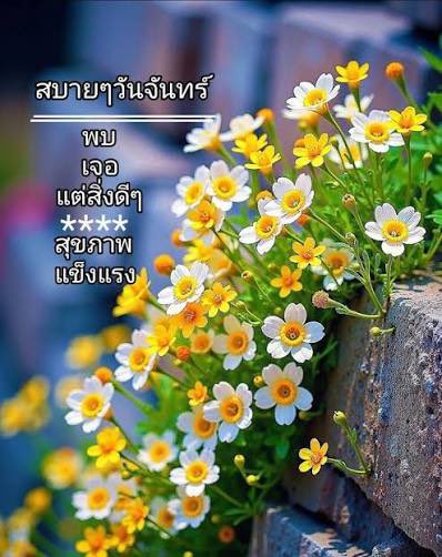 _0FAUNTMAY's tweet photo. https://t.co/KcqmS2qAwb