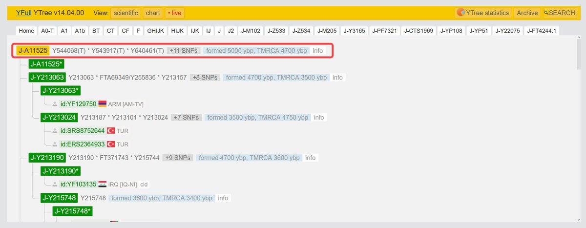 Gedrosia_DNA's tweet photo. A paternal lineage of “Phorai” Baluch clan (Lasbela-E.Baluchistan) has been confirmed within the upstream clade “J-A11525”, the individual is within the Baluch native admix profiles.
#Baluchistan_DNA
https://t.co/sYC0wMi1X3 https://t.co/XoAnwMiMoA