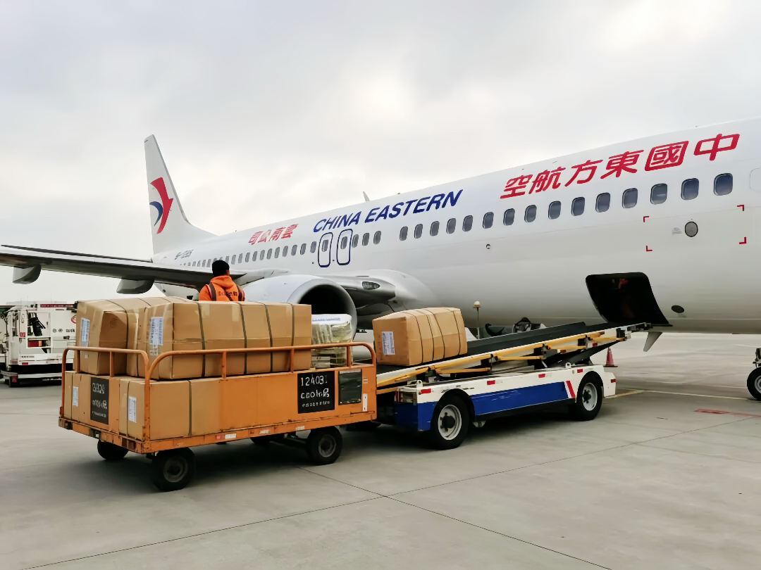 CEAirglobal's tweet photo. 🍄‍🟫Yunnan’s matsutake season is here. As the “King of Mushrooms,” this prized ingredient demands meticulous care.✈️ #CEAir's customized transport solutions ensure these highland treasures reach overseas tables in peak condition. #ChinaCargo #MUStory https://t.co/hzqFf5GGtk