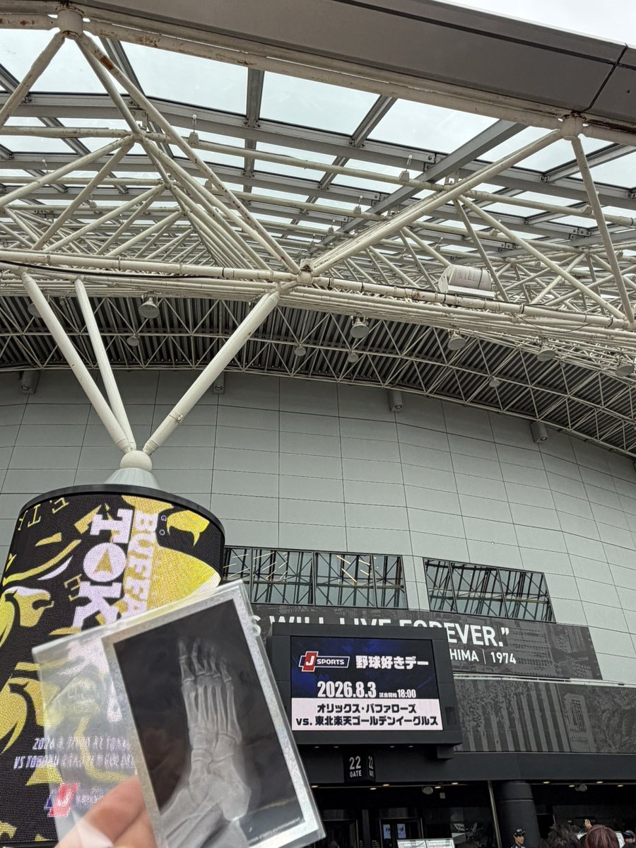 stsn_1908's tweet photo. ライブ以外では久しぶりのドーム☺️ https://t.co/Y7ymyFqPV6