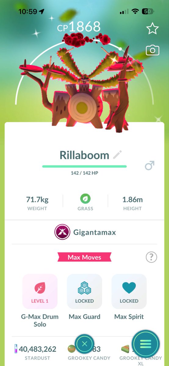 LukeGoatMutter's tweet photo. Recap of Gigantamax Rillabom raid day! Managed to do 15 Gigantamax raids. 0 hundo’s but really happy with the shiny! ✨

#PokemonGO https://t.co/2Kzu5kxQ6d