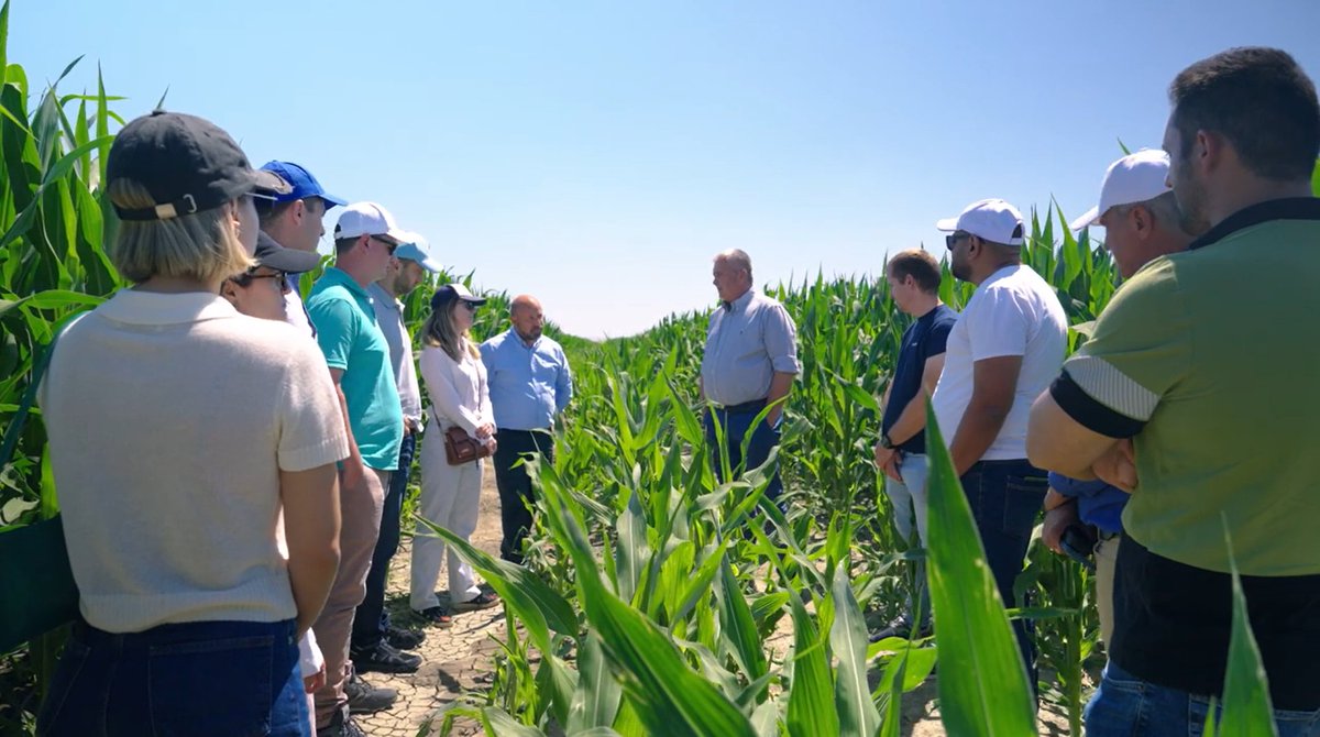 SyngentaUK's tweet photo. No one tells a product's story better than the people who use it.

Global Agribusiness Al Dahra reviewed 19 farm management systems and chose Cropwise Operations to streamline operations and gain full field-level visibility.

Hear Al Dahra's success story: https://t.co/NS5ayPJHk8 https://t.co/qkBEGa9f6N