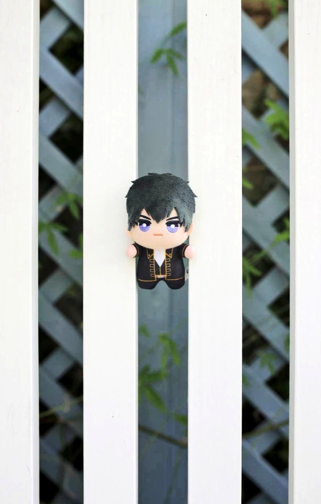 MHA1206min's tweet photo. ぬい撮① https://t.co/rKG5RESjrD