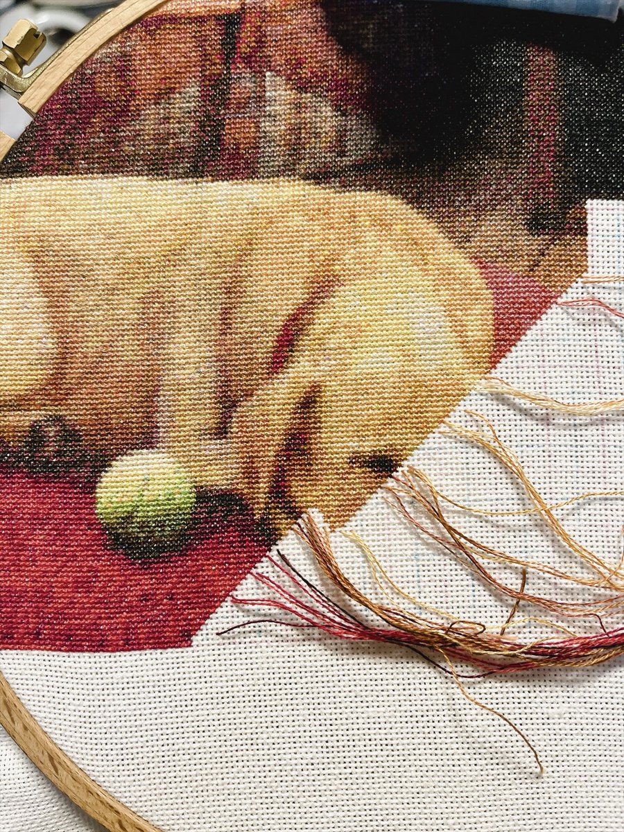 toraCrossStitch's tweet photo. 🐶594日目🐶

久々に再開しました🍀
8月中はちょこちょこ縫っていこうかなぁ

『Leroy’s Decoys』25ct  88色
650w × 465h    66 × 47cm 
【Page 39】 24/45枚

#クロスステッチ
#HAED https://t.co/jfowrVJ2Tc