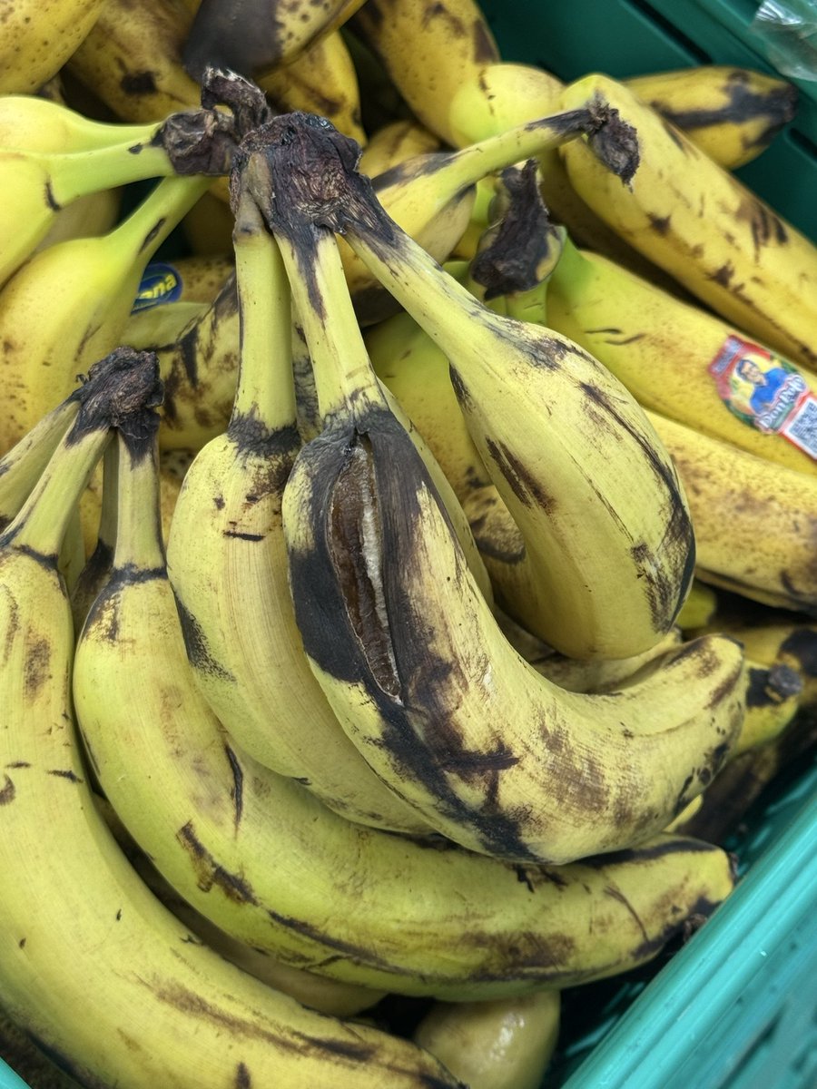 TalipYx's tweet photo. #Migros #Didim #denetim

Hiç mi denetim olmaz? Nerdeyse her kasada çürümüş ürün var. İnsan sağlığı bu kadar mı önemsenmez. https://t.co/dp0nNtIHKr