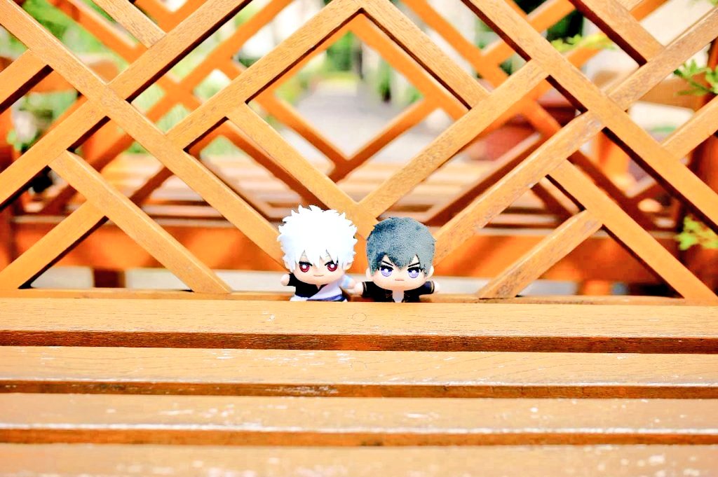 MHA1206min's tweet photo. ぬい撮➁
ぱふぇぎんさんs https://t.co/rIGiF4uUEJ