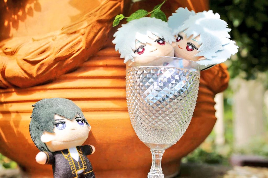 MHA1206min's tweet photo. ぬい撮➁
ぱふぇぎんさんs https://t.co/rIGiF4uUEJ