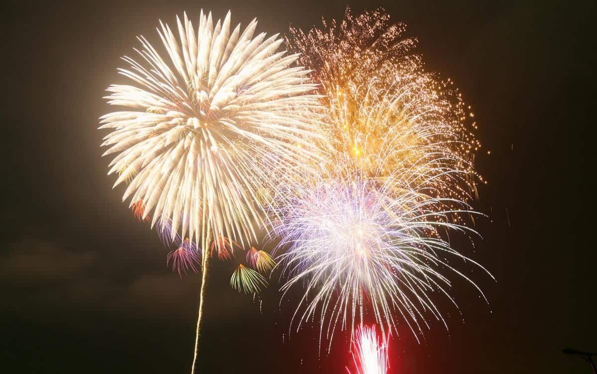 tabetainjya's tweet photo. ゴギつかみ取り・モルック体験・花火も！庄原で「ヒバゴン郷ふるさと どえりゃあ祭」当日は映画撮影も https://t.co/zWuDtaxdwp https://t.co/34n0mSxGF7
