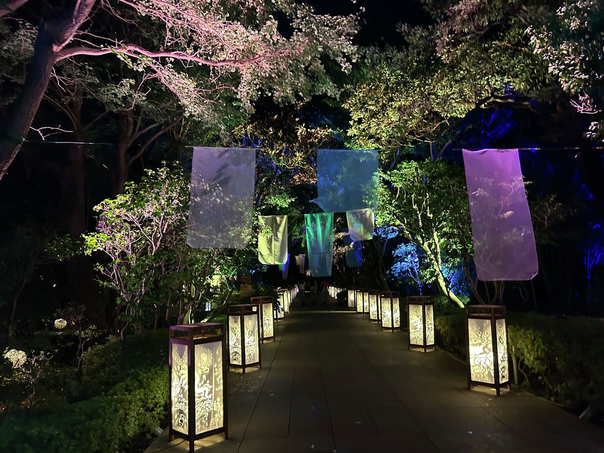 enjoy_tokyo's tweet photo. 「江の島灯籠2026」が開催中⛩️🌕

江島神社や江の島サムエル・コッキング苑など、江の島全体を光の演出が包み、幻想的な夏の夜を過ごすことができました🤗

詳細はリプから👇 https://t.co/G1hcdIt12I
